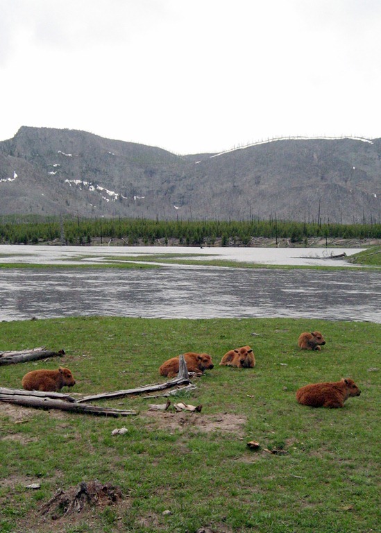 [ruedebuhr%2520road%2520rage%2520day%252019%2520284%255B4%255D.jpg]
