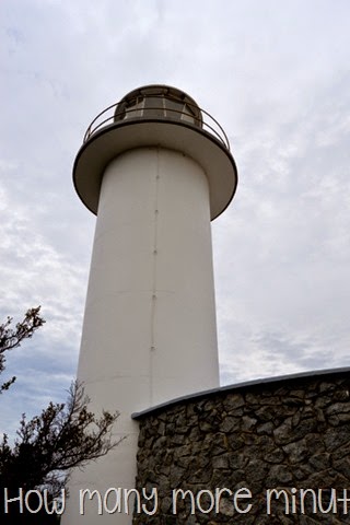 [DSC_35801.jpg]