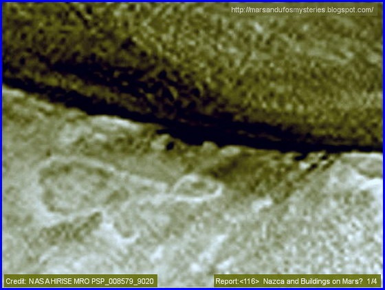 nazca_01 nazca_01