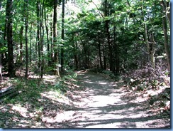 6849 Quebec - Gatineau Park - Mackenzie King Estate - The Waterfall Path