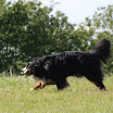 IMG_9242.JPG
