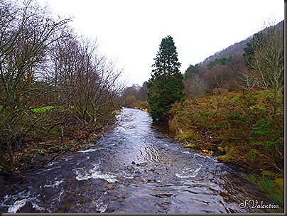P1120454 P1120454