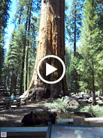 id_3022449