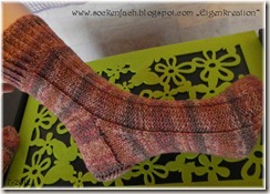 7-2012 Socken (2)