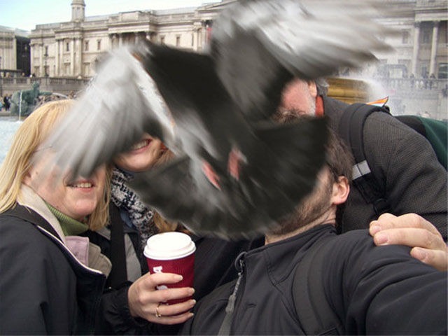 [silly-pigeons-birds-9%255B2%255D.jpg]