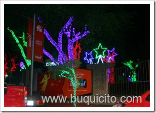 IMG_8054 IMG_8054