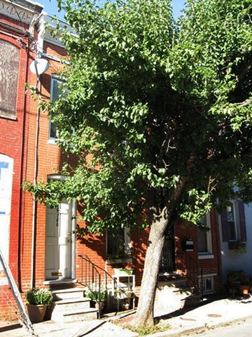 [pigtown%2520house%255B3%255D.jpg]