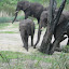 Florida08 112.jpg