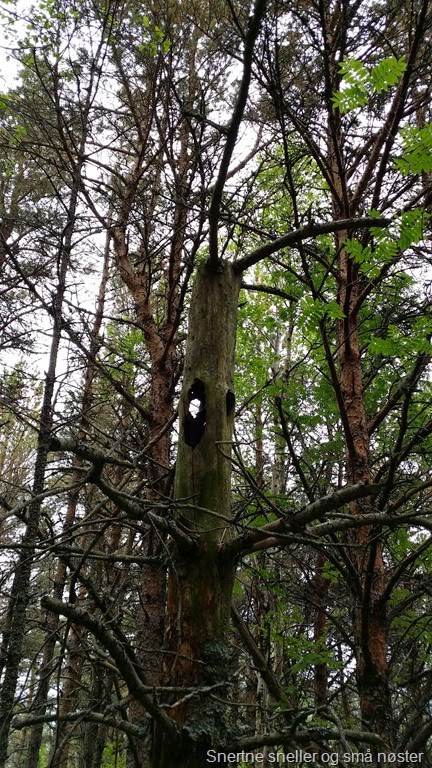 [20140530_162602%255B6%255D.jpg]