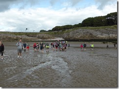 Morecambe Bay Walk (9)