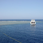 103-0387_IMG.JPG