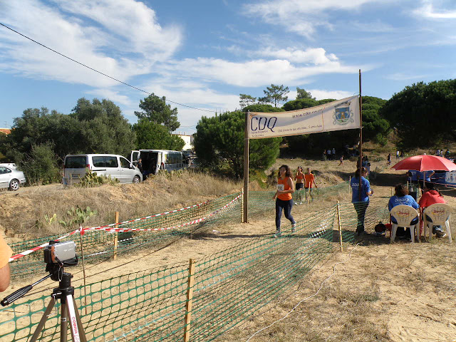 PA290264.JPG