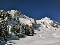 IMG_1438.JPG Photo