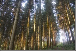 IMG_3757 IMG_3757