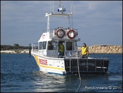 IMG_5798 IMG_5798