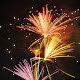 Silvester 2010