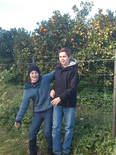 Appelsinslang i Andalusia.