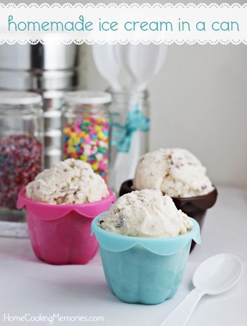 [Homemade-Ice-Cream-in-a-Can%255B6%255D.jpg]