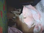 JULEN Y KITZIA haciendo un pacto de estar siempre juntas