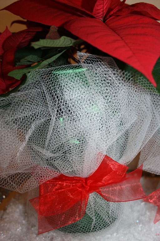 wrap 066