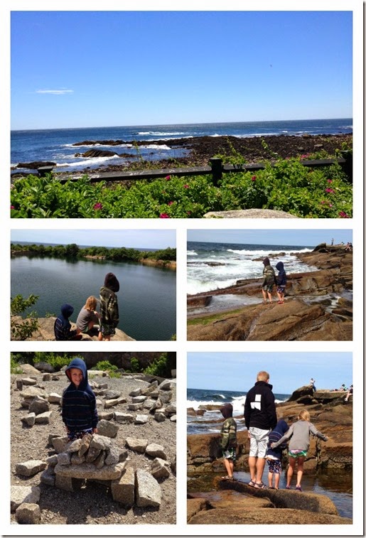 Halibut Point state park Collage