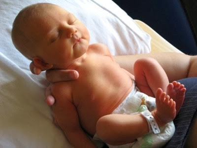 lyons cub lyons cub