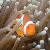 Dumagete, Philippines '10