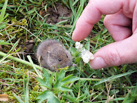 DSCF0439.JPG