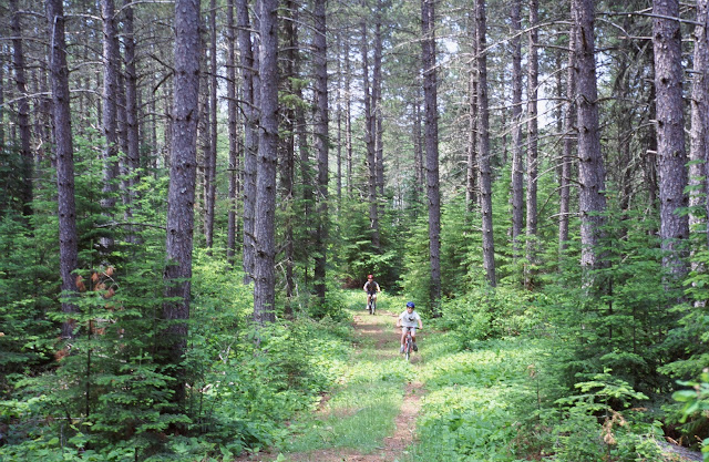 America The Beautiful - Two young bicyclists peddle up an old logging road in the George Washington Grove, a red pine hideaway in the Superior National Forest in the summer of 1999. Civilian Conservation Corps tree planters planted this forest, only minutes from Grand Marias, Minnesota, in the 1930s. Grand Marias has become such a haven for tourists that the Forest Service decided the grove ought to be set aside in perpetuity. It's very pretty, but the sawmill less than five miles from here paid a dear price for the loss of access to these trees.