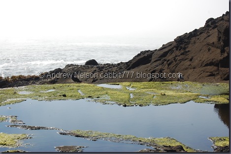 DSC_0854 DSC_0854