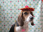 ELASH ahora galleta, las nuevas fotos que nos mando su familia