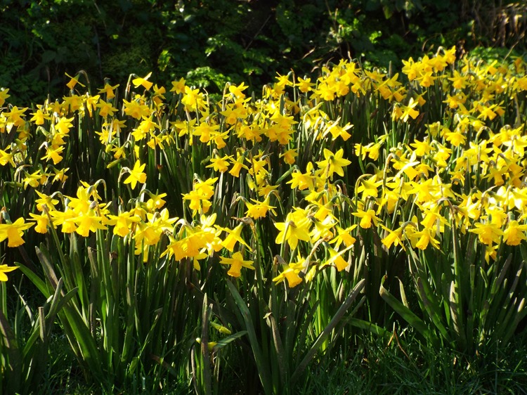 a little bit yellow a little bit yellow