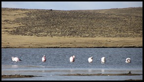 IMG_1794 IMG_1794