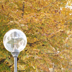20091031 Allgaeu 0113 [640x480].JPG