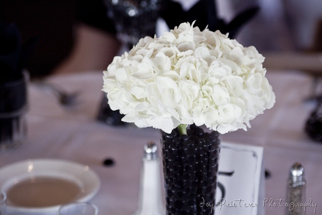 [DaveandStefimg_0187%255B8%255D.jpg]