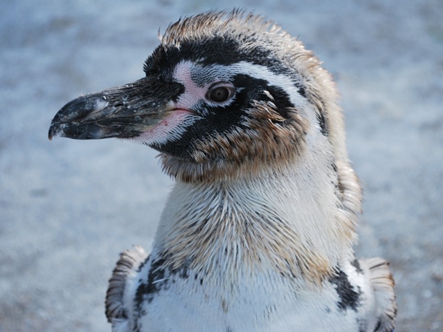 [DSC_0335%255B13%255D.jpg]