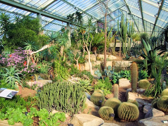 Alizul: 10 AMAZING INDOOR GARDENS