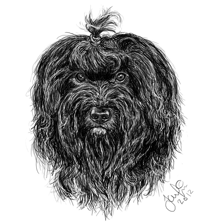 [Hund2%255B5%255D.jpg]