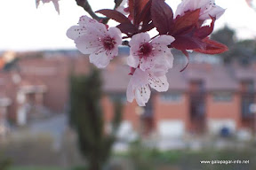 parque_035.jpg