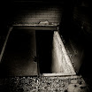 cellar3sha.jpg