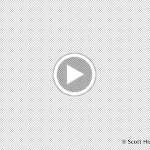 MVI_0901.MOV