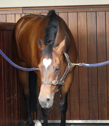 lankan rupee 3