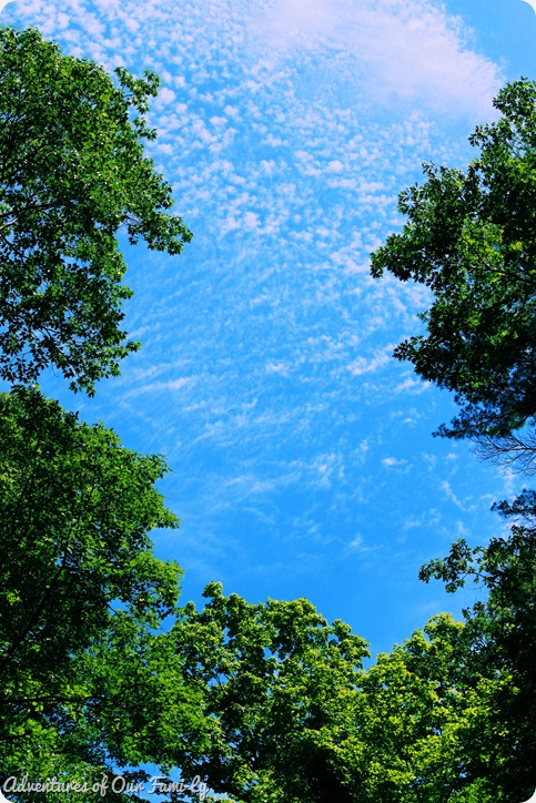 starved rock 18