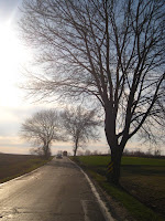 IMG_0160.JPG