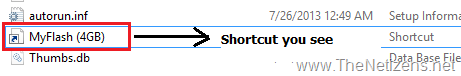 [usb_drive_shortcut_virus_113.png]