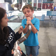 Rosh Hashana 013.jpg