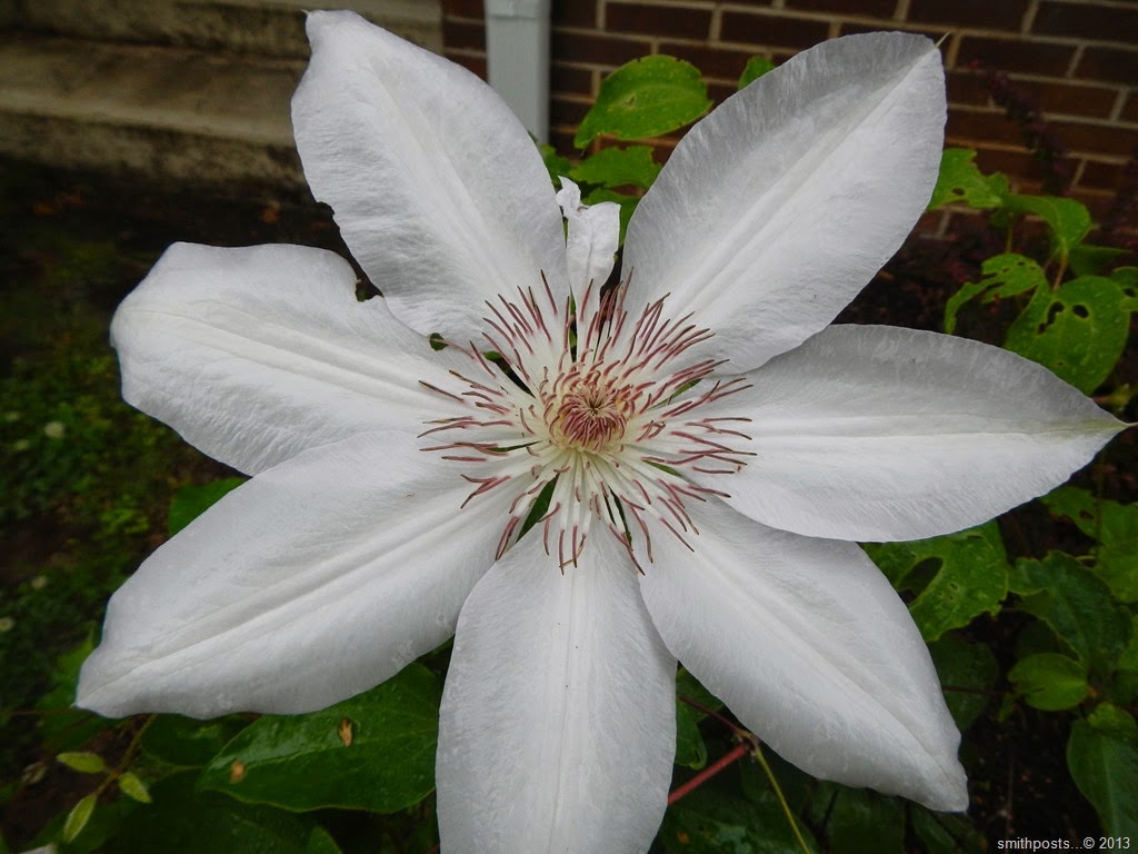 [DSCN6869%255B5%255D.jpg]