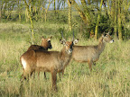 DSCN6229.JPG