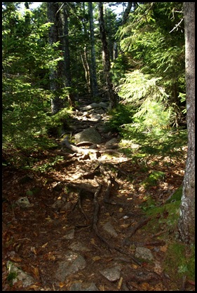 Flying Mountain to Valley Cove trail to Valley Peak 186