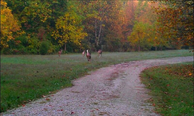 [Morning%2520Ride%25202%255B8%255D.jpg]
